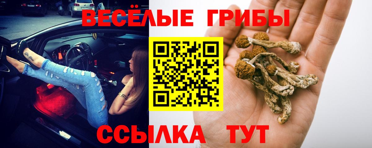 Псилоцибиновые грибы Psilocybe Хабаровск